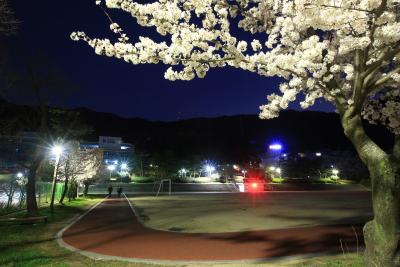 야심한봄밤 사진3