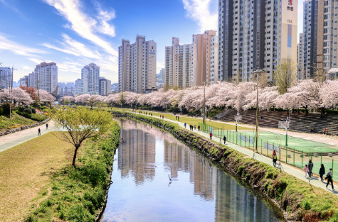 연제구