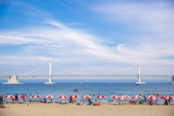 都市、海、川…自転車で楽しむ釜山の人気スポット