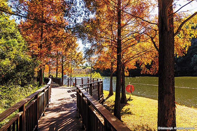 8-9cw10 9-2코스 용소웰빙공원 가을_갈맷길