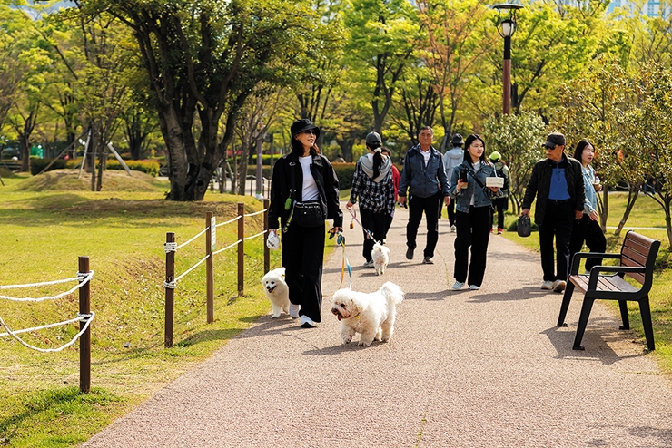 4-5-3 부산시민공원3 강아지 산책_이민재_cw14