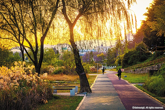 8-8cw10 갈맷길 (8-1) 회동동수영강강변길_갈맷길