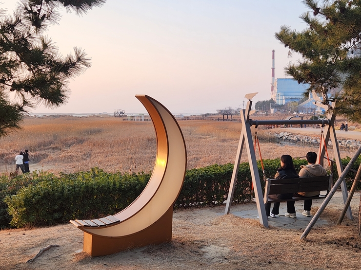 20-2cw12 다대포해변공원에서 바라본 다대포해수욕장 습지 모습