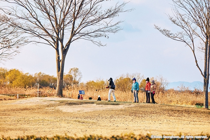 8-2cw15 삼락생태공원B-파크골프-권성훈
