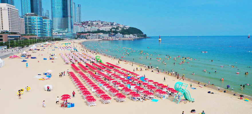 VISIT BUSAN PAS