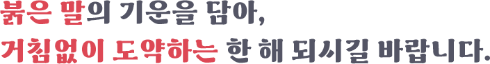 乙巳年 푸른뱀의 해 새해 복 많이 받으세요