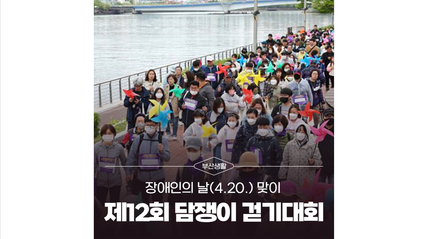 갤러리 이미지