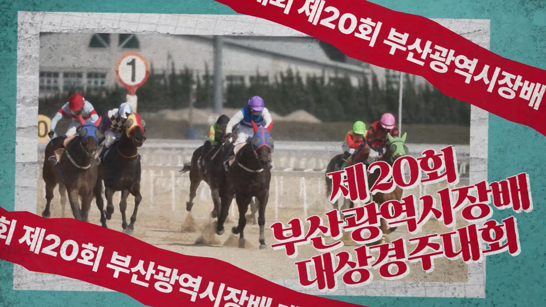 갤러리 이미지